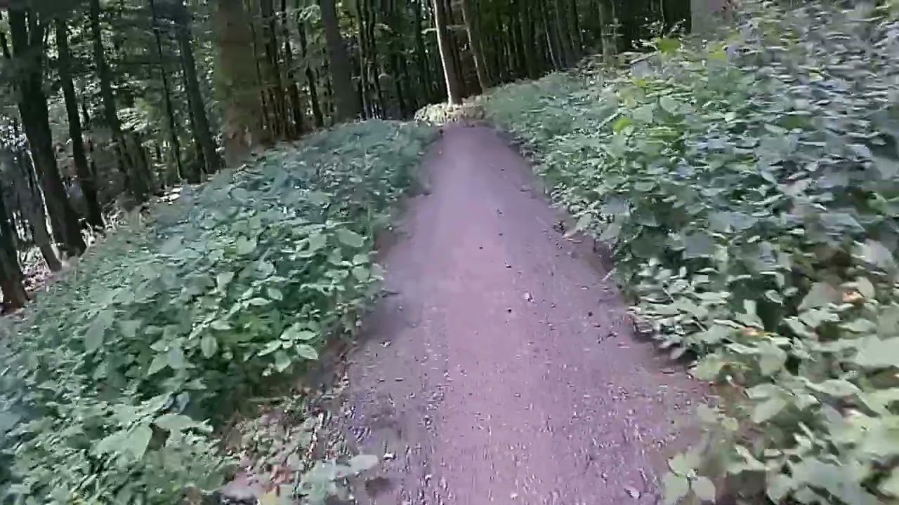 Green Trails Eisenberg Trail EBU