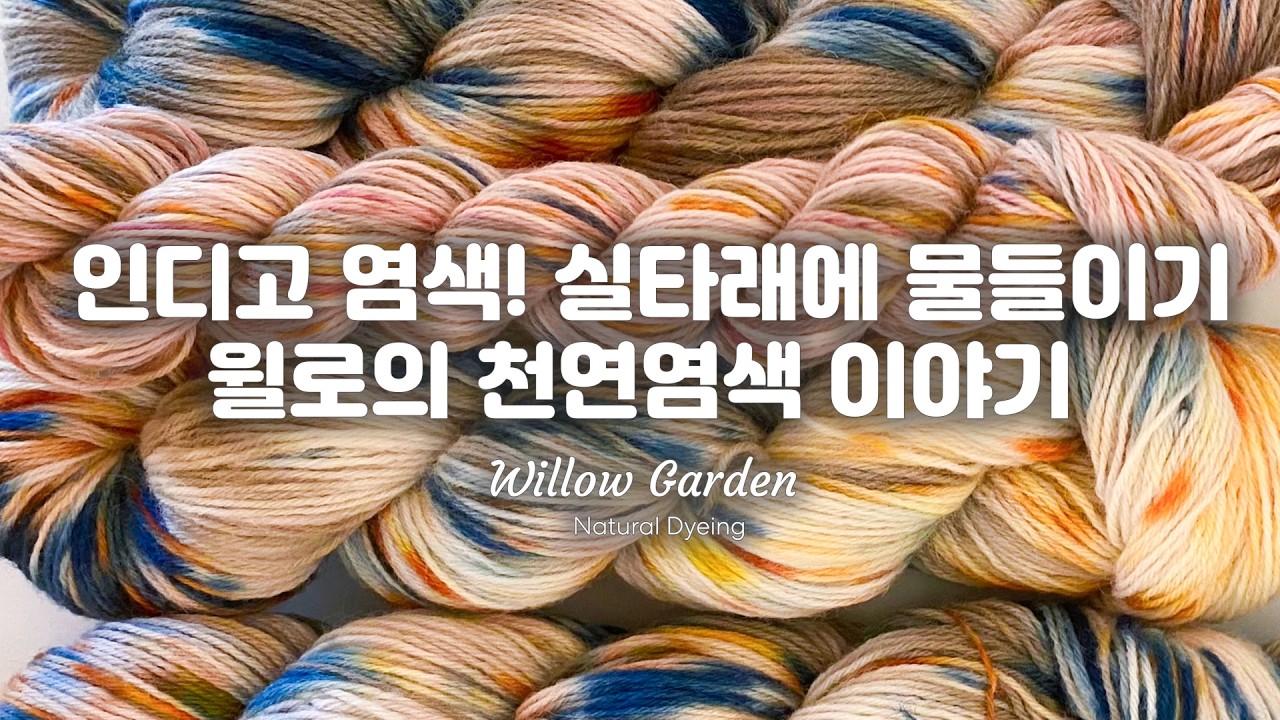 [윌로의 천연염색이야기] 자연의 푸른색,  인디고 염색으로 실타래 물들이기. 무려 4단계를 거친 실의 칼라 궁금하지 않으세요?