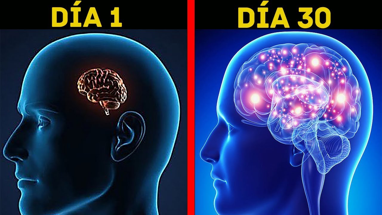 ¡5 TRUCOS QUE TE AYUDARÁN A MEJORAR TU CEREBRO FÁCILMENTE!