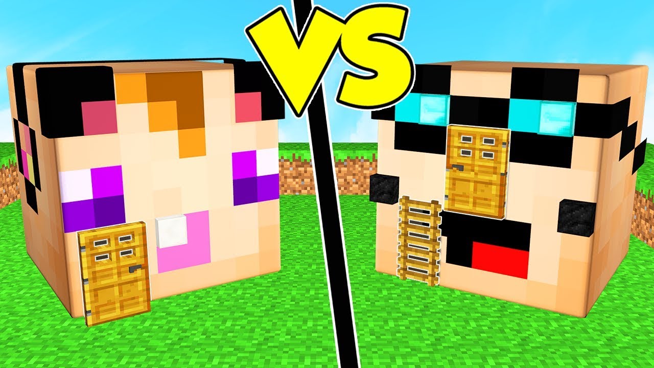 CASA BABY LYON contro CASA BABY ANNA su MINECRAFT!
