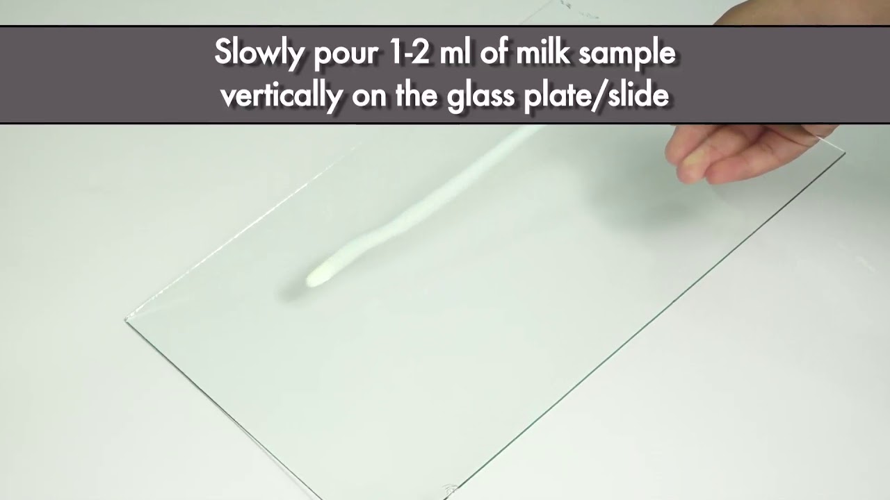 Testing Milk Adulteration with Water | FSSAI