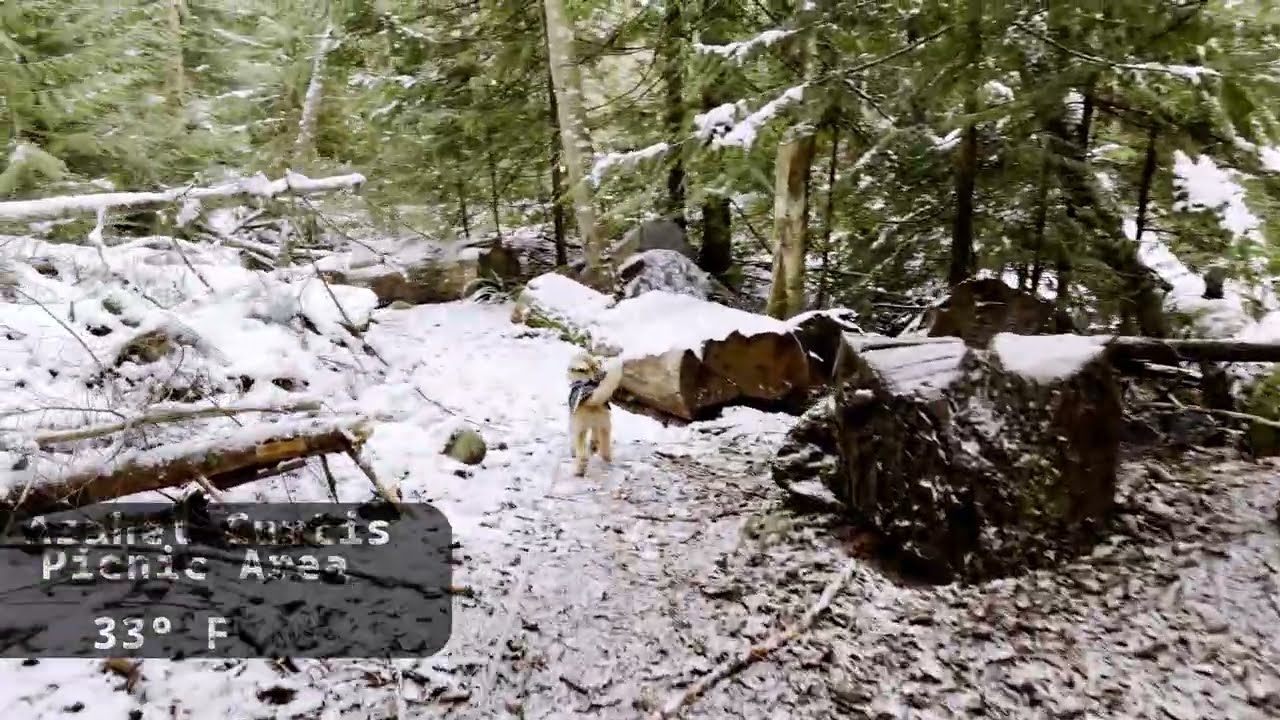 Snowy Asahel Curtis River Walk