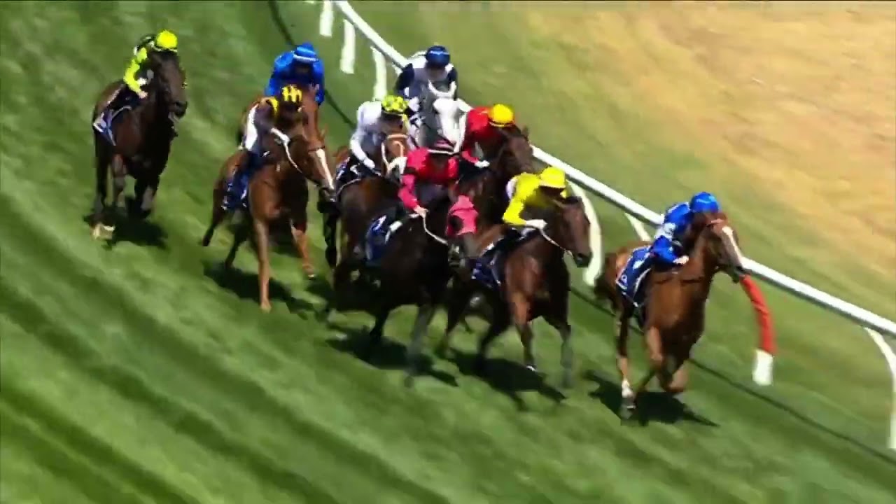 SPACE RIDER выигрывает скачки Manfred Stakes (G3) в 2026 году.