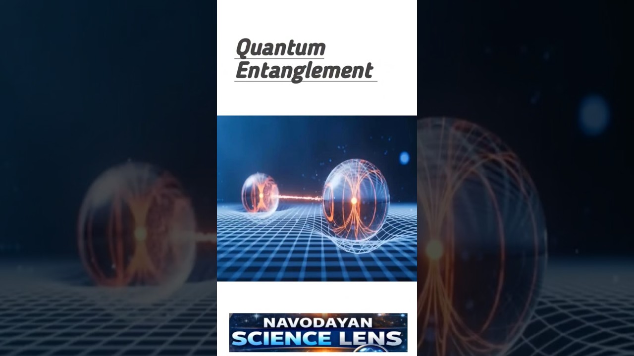 How Birds See Earth&rsquo;s Mag Field/ Cryptochrome 4: Quantum Entanglement in Biology? #magnetoreception