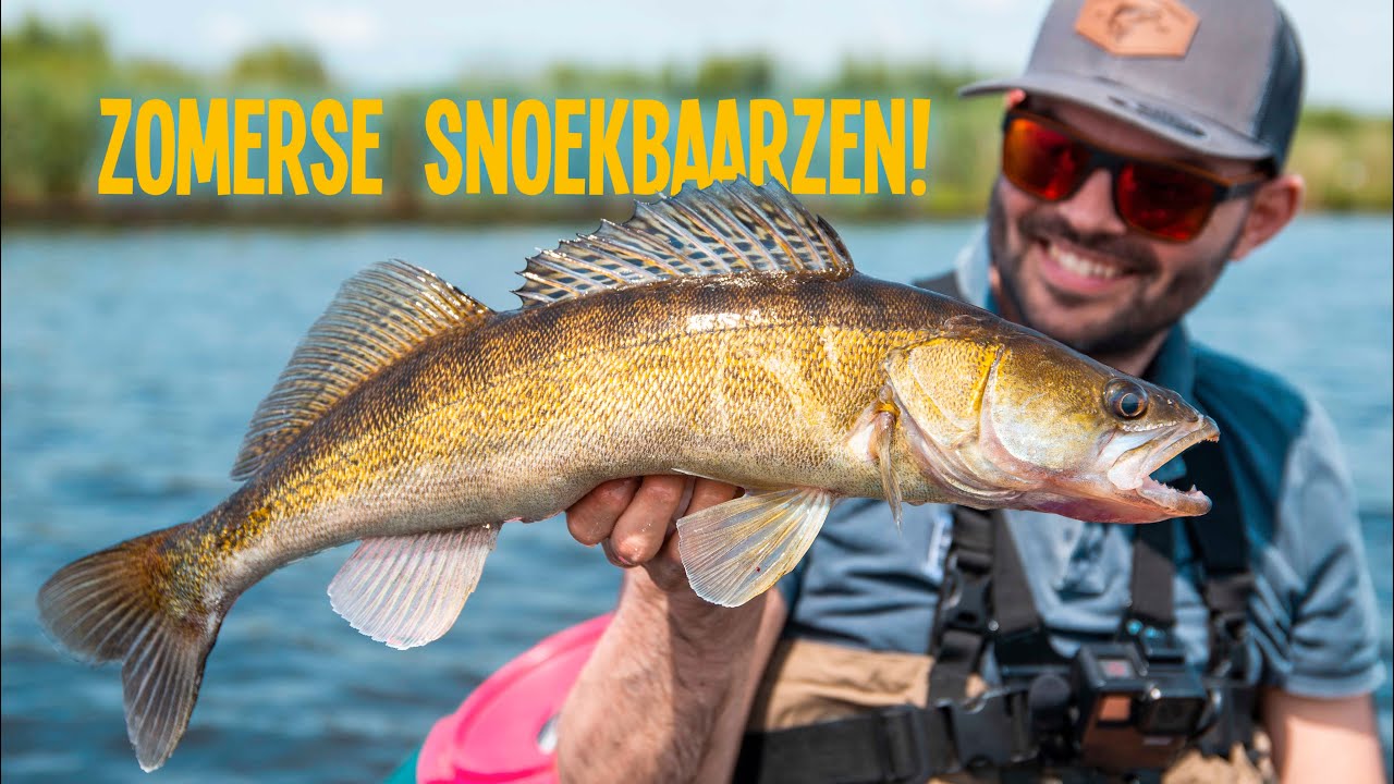 Zomerse Snoekbaarzen Vanuit De Bellyboat! - VisTD Vlog #22