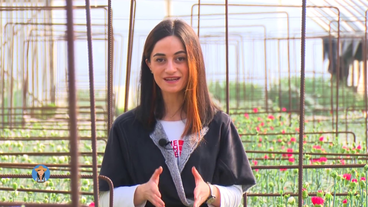 მე ვარ ფერმერი - ყვავილების სათბური ლიხაურში