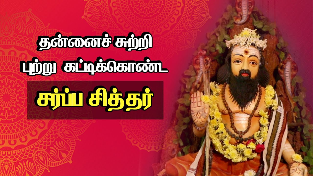 தன்னைச் சுற்றி புற்று கட்டிக்கொண்ட சர்ப்ப சித்தர் | Story of Sarba Siddhar