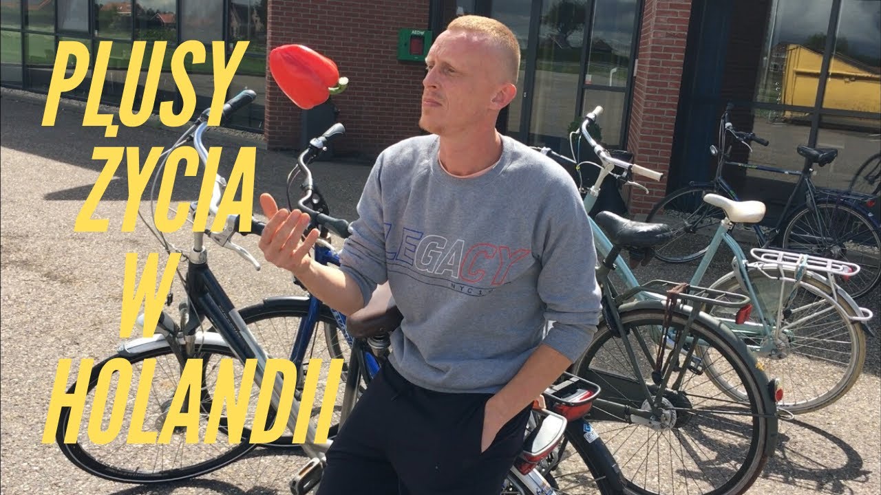 PLUSY ŻYCIA W HOLANDII