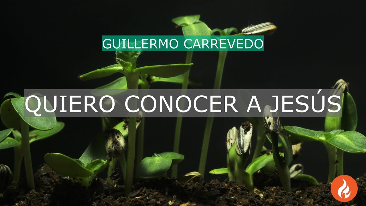 Quiero conocer a Jesús  |  Ptor Guillermo Carrevedo
