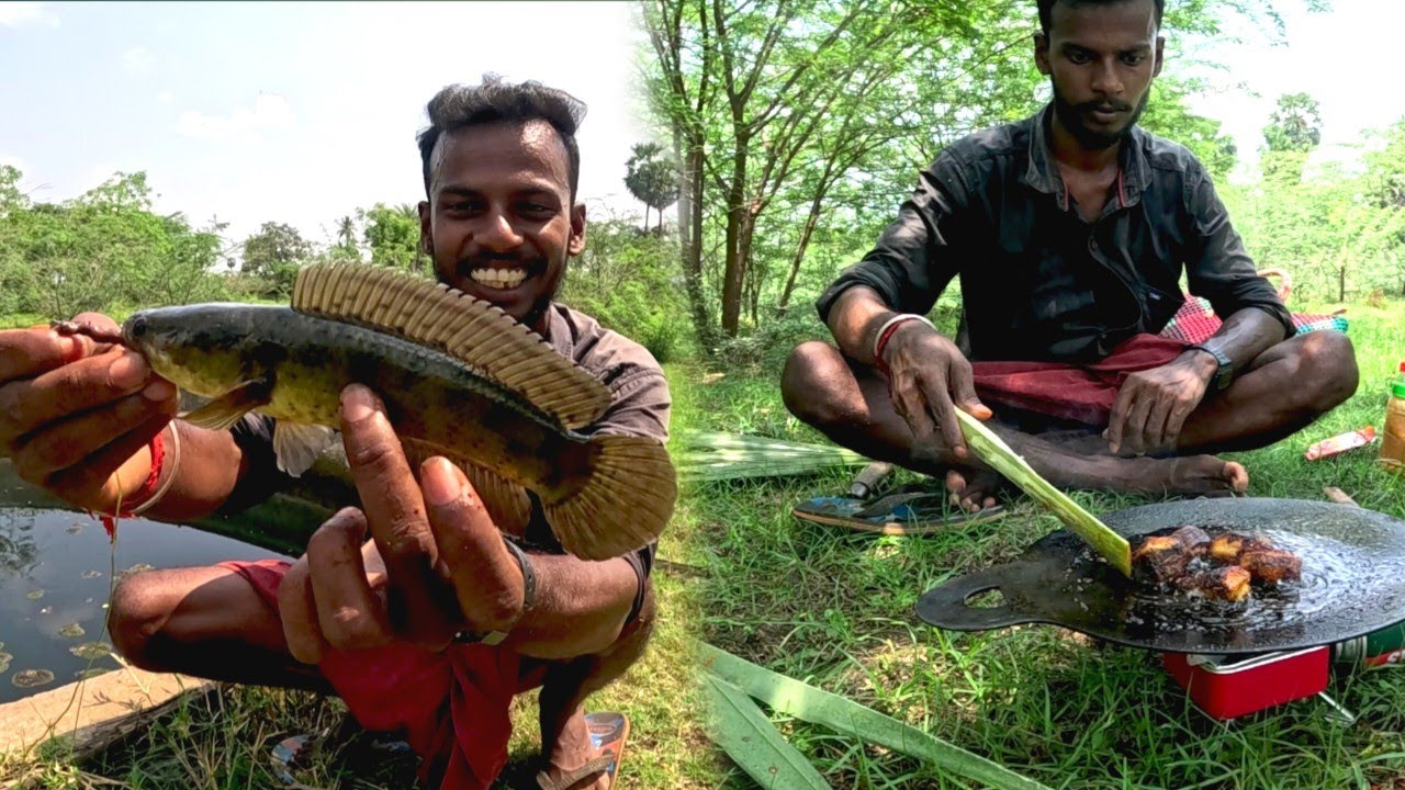 Snake Head  Fish Catching & Cooking | கிணத்துல தூண்டி போட்டு விரால் மீன் பிடிக்கலாமா 
