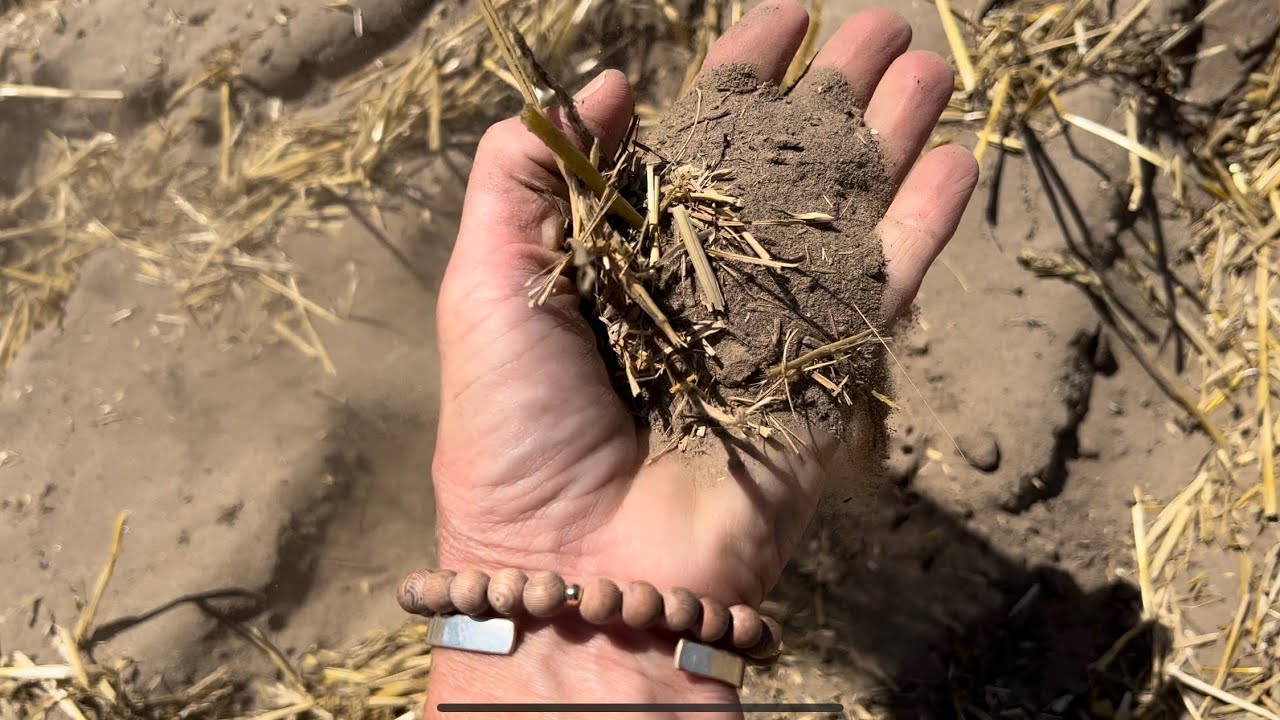DAYS 24 & 25 / 2022 Wheat Harvest / July 9 & 10 (Oshkosh, NE)