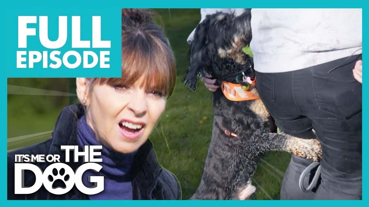 Marley: The Humping Hound | Full Episode 218 | It’s Me or The Dog