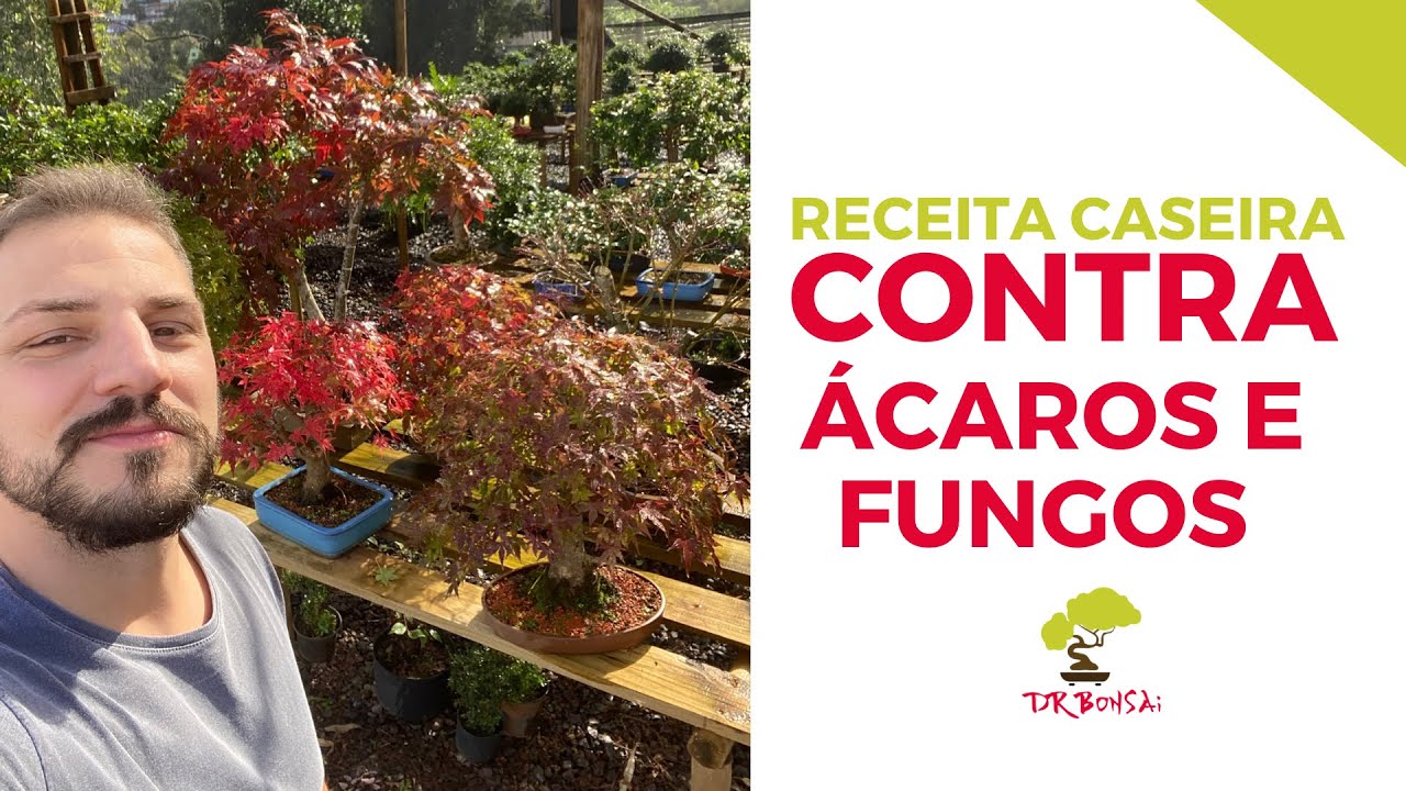 Receita caseira milagrosa contra &Aacute;CAROS E FUNGOS!