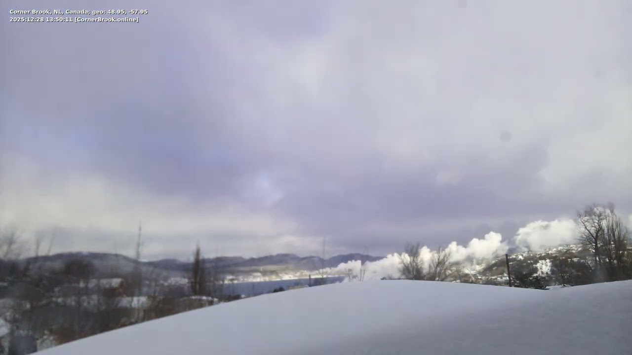 [2025-12-28] Corner Brook NL Mill Cam Daily Timelapse