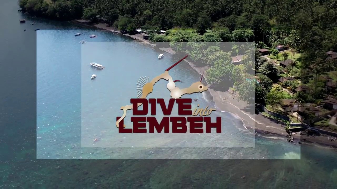 Dive into Lembeh | Dive the Lembeh Strait at the most experienced and inclusive resort in the area