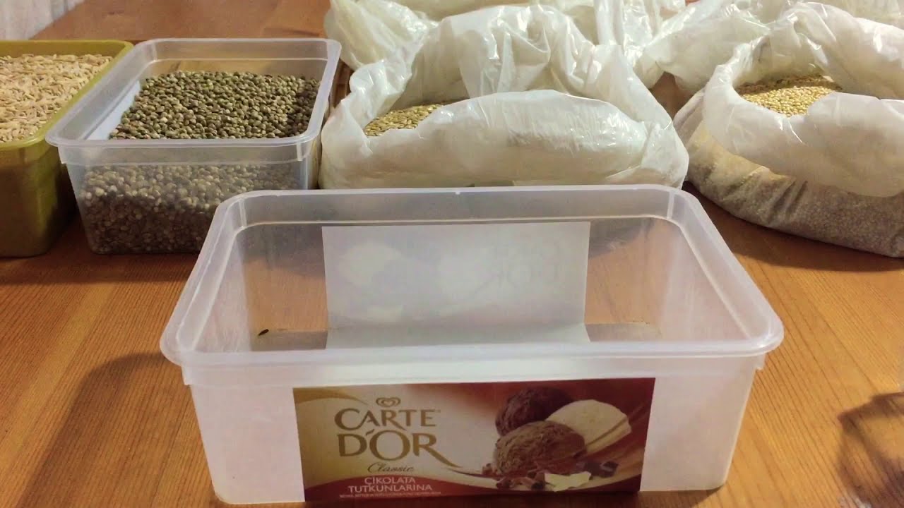 Tüy Dönemi Sonrası Karışık Kanarya Yemi