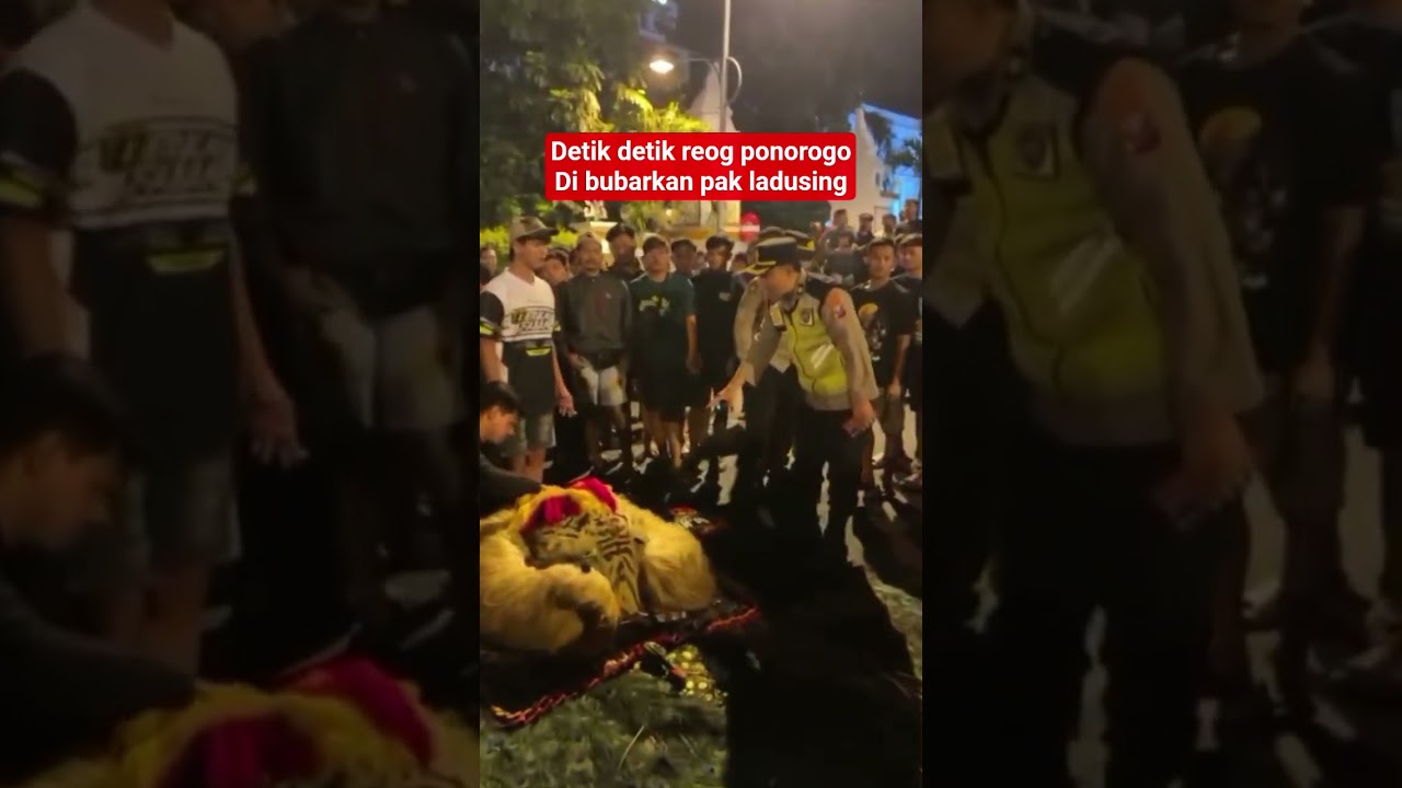 REOG PONOROGO DI BUBARKAN PAK LADUSING #reogponorogoterbaru