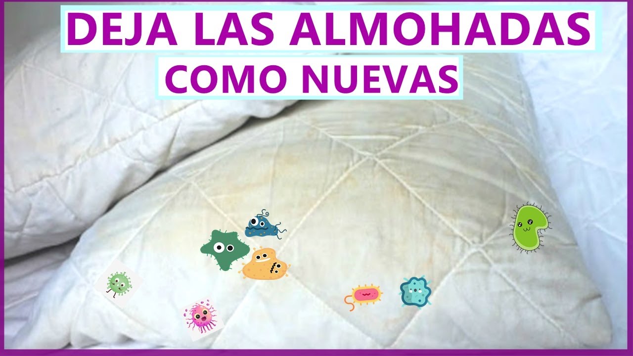 Cómo LAVAR las ALMOHADAS que están AMARILLENTAS