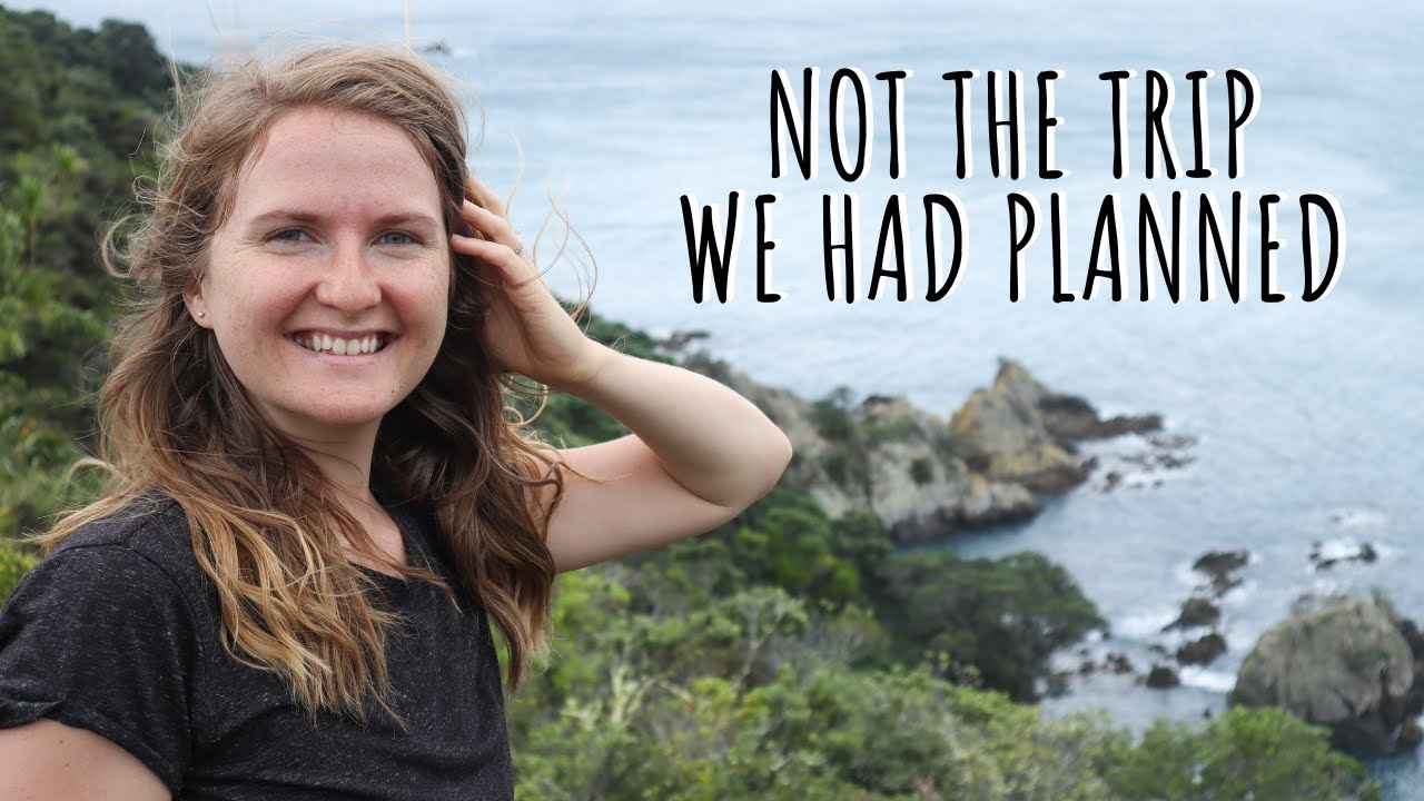 Explore Tiritiri with me!  |  Tiritiri Matangi