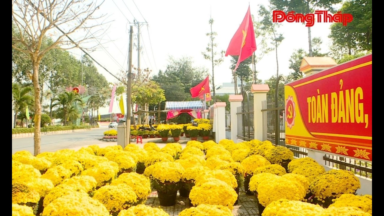 Phường An Bình rộn ràng đón xuân | Báo Đồng Tháp Online