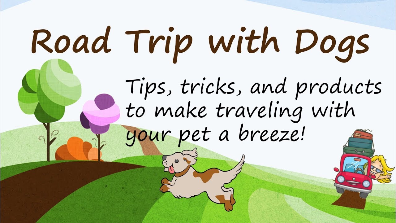 Road Trip with Dogs Travel Tips