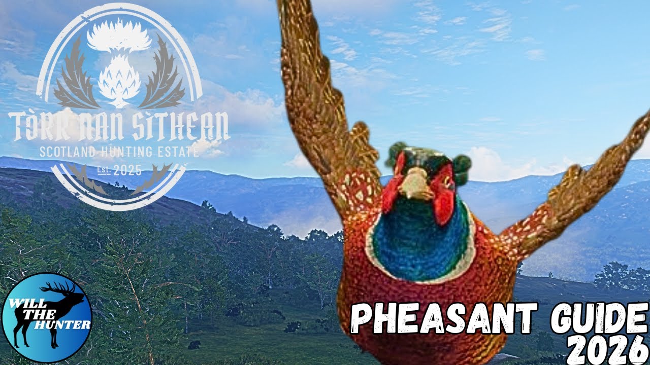 Tòrr nan Sithean (Scotland) Ring Necked Pheasant Zone Guide | TheHunter Call Of The Wild
