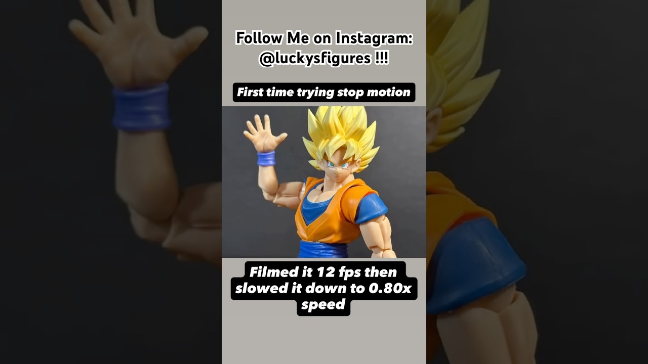 Goku Test Stop Motion 
