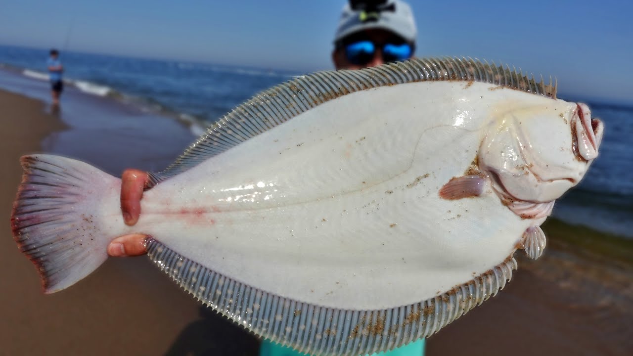 First Fluke Trip of 2022 - Jigging Up a Triple Limit!