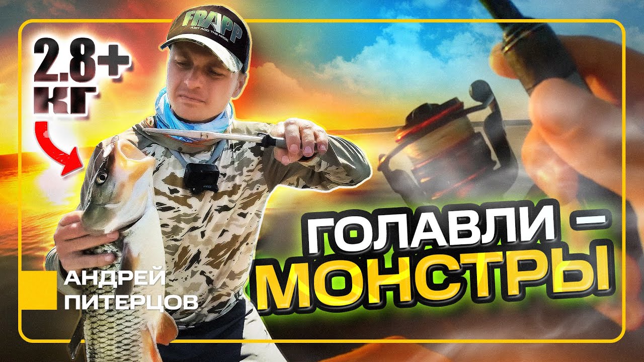 ОГРОМНЫЕ ГОЛАВЛИ С КАЖДОГО ЗАБРОСА! Лучшая голавлевая рыбалка в жизни!