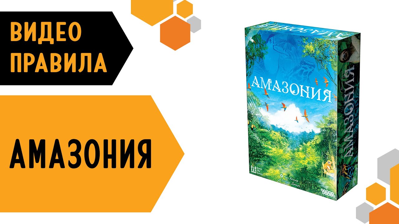 АМАЗОНИЯ &mdash; видео правила настольной игры 🌳🦧🌞