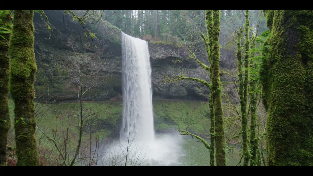 Vid&eacute;o D'Ambiance, Relaxante, Nature et Calme