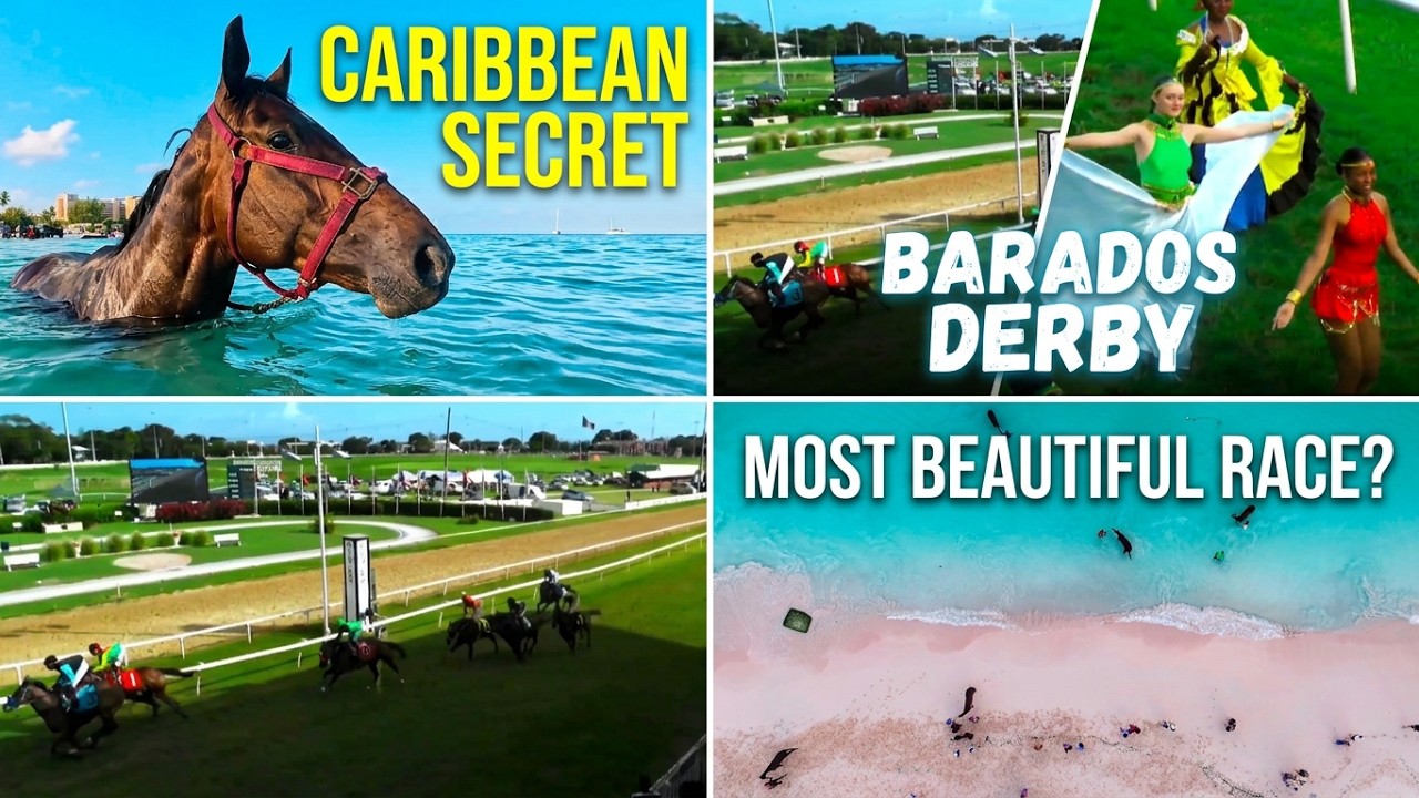 Barbados Derby | Horse Racing in the Caribbean | A Story of Culture & Community | Agility Films