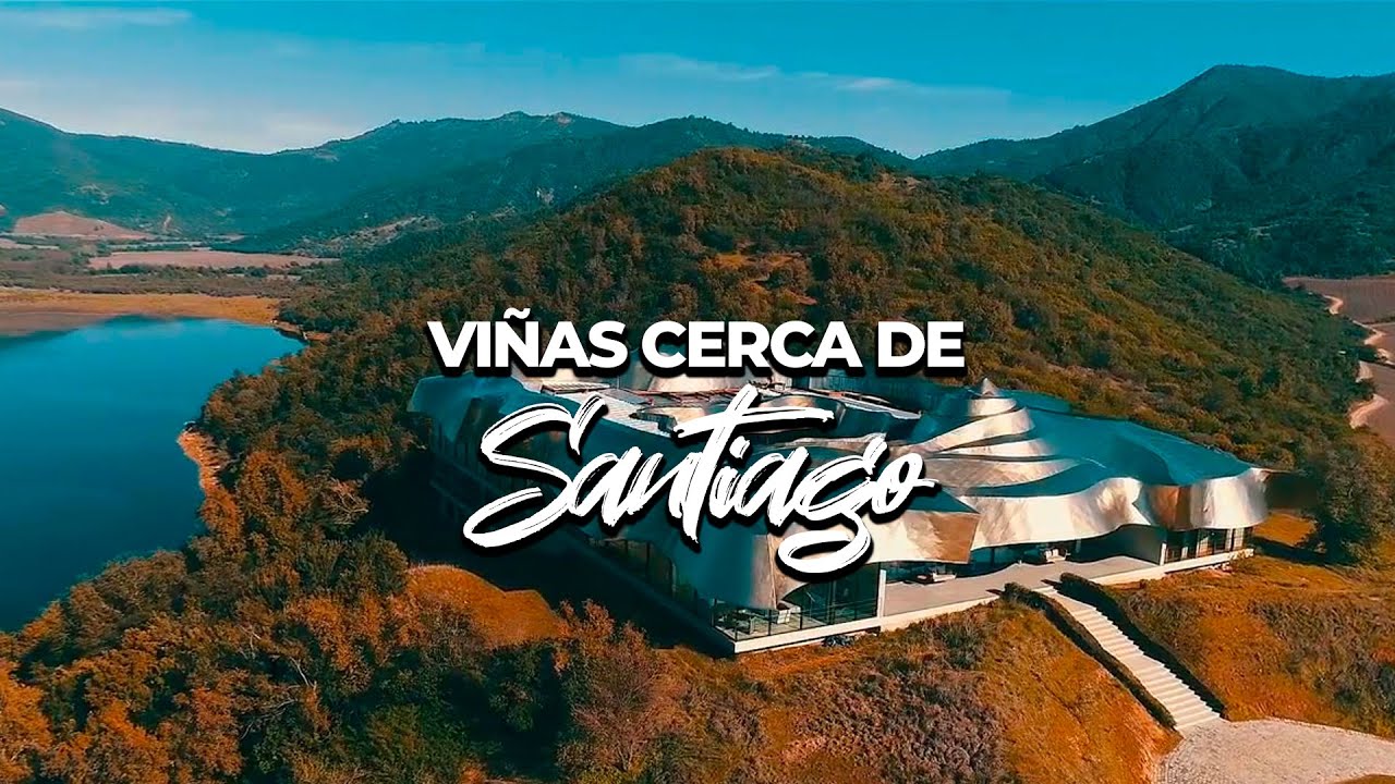 VIÑAS QUE PUEDES VISITAR CERCA DE SANTIAGO