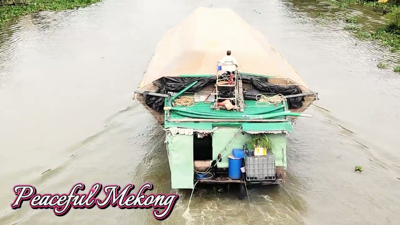 Daily Life on the Mekong River | Vietnam Village