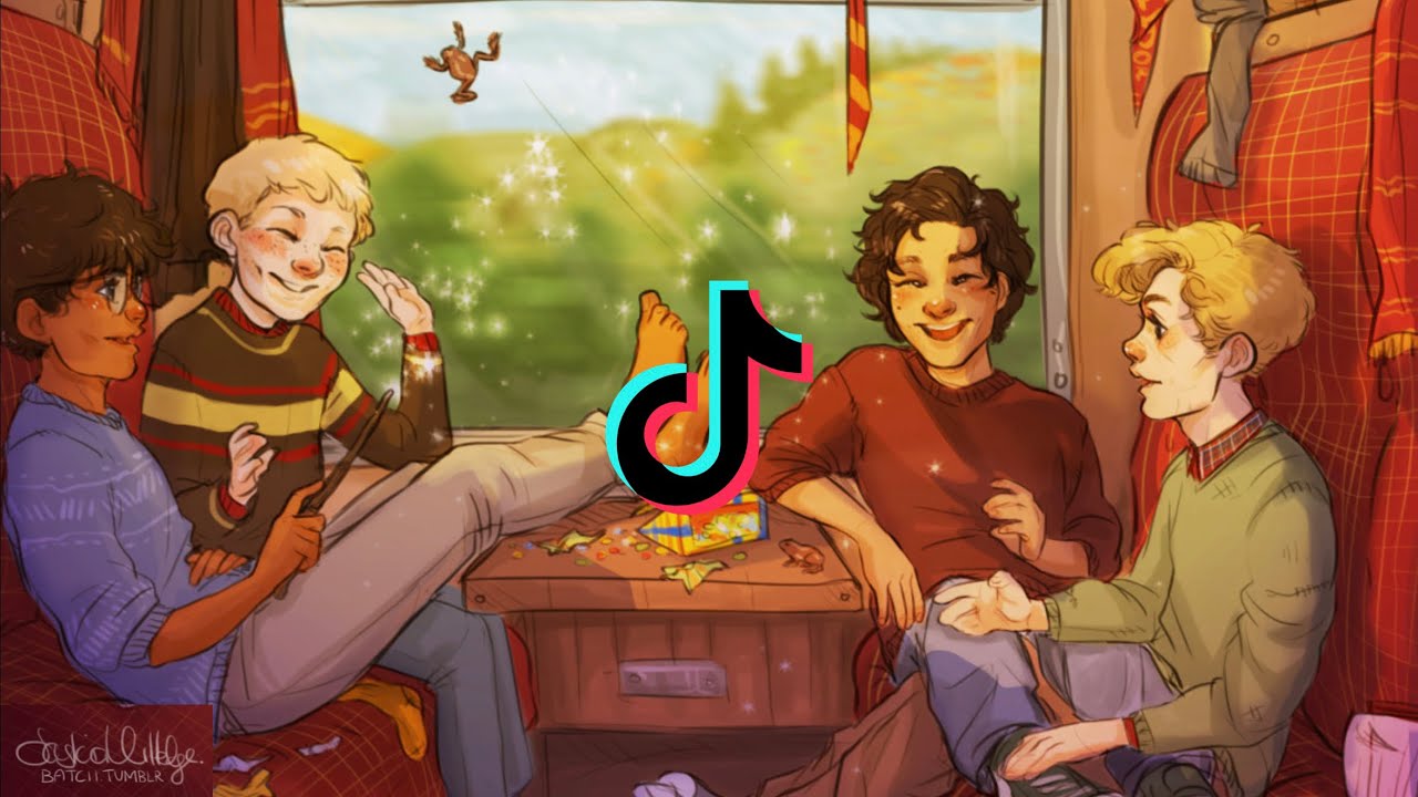 Marauders Tiktoks from Aboard the Hogwarts Express
