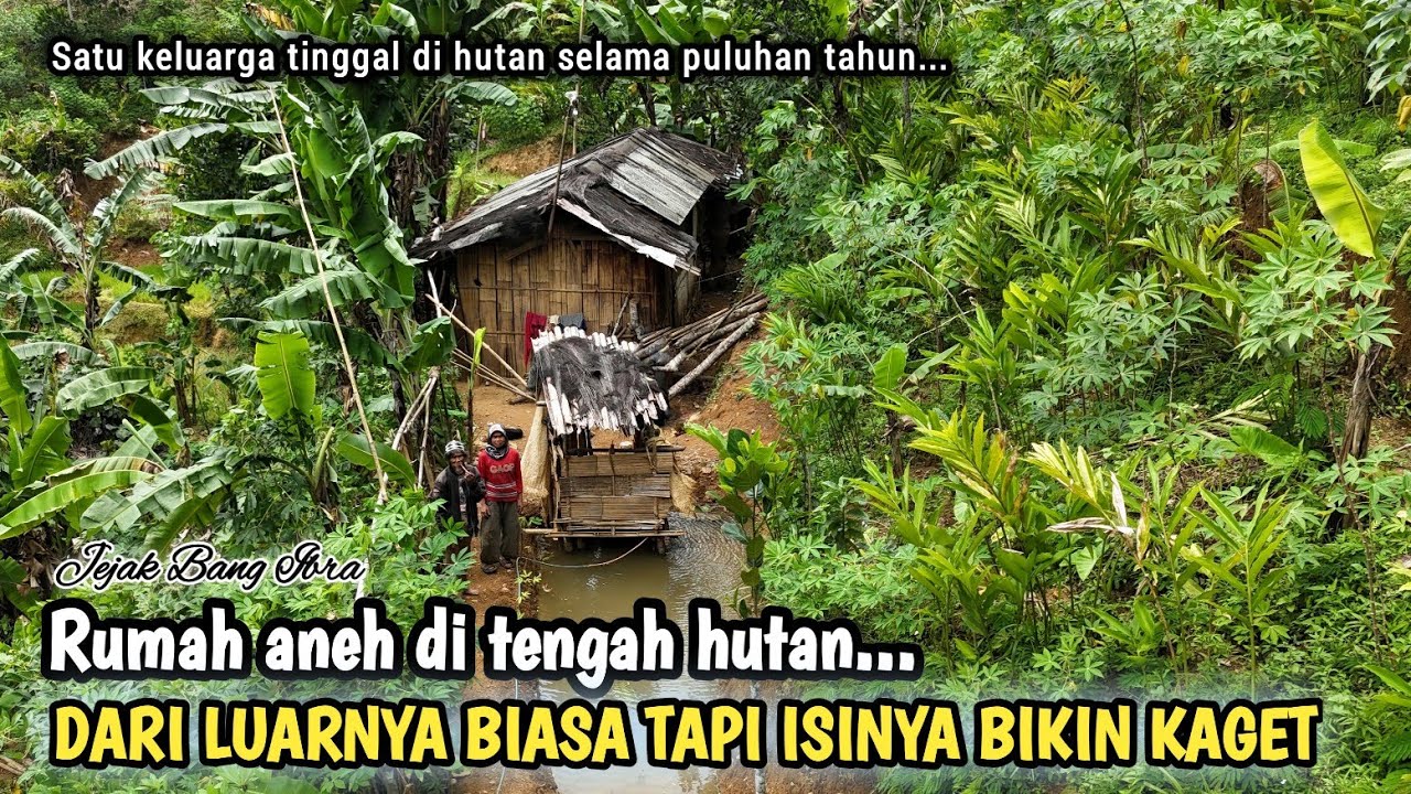 RUMAH PALING ANEH DI TENGAH HUTAN, TERNYATA ADA SATU KELUARGA YANG MENGHUNI RUMAH INI...