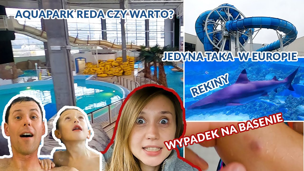 Rekin na basenie? Ola z Piotrkiem mieli kraksę. Aquapark Reda czy warto tam jechać?