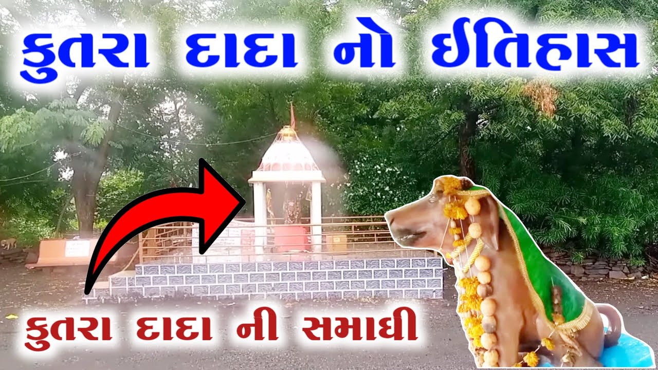 કુતરા દાદા નો ઇતિહાસ  || kutara dada no itihas || dog history in palitana jaspara