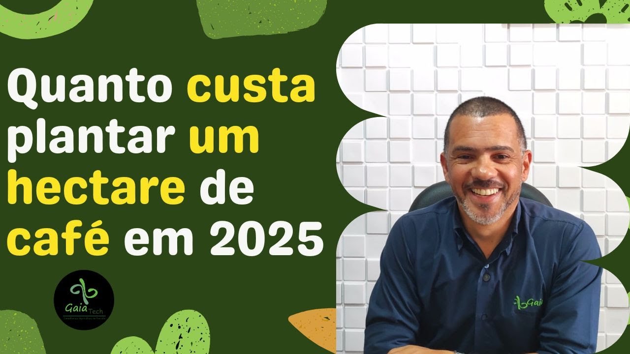 Desvende o Preço do Plantio de 1 Hectare de Café em 2025!