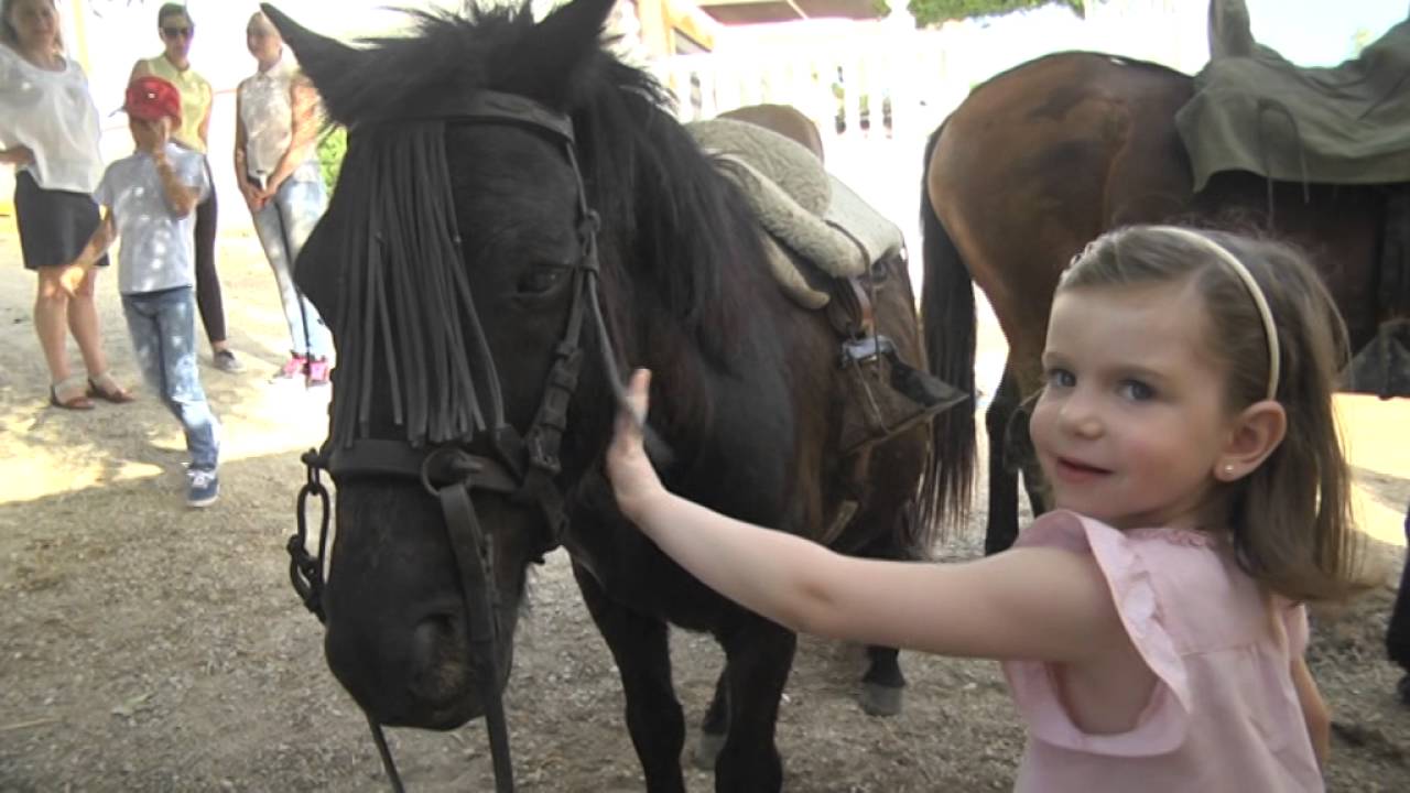 Cortijo el Carretero |  Casa Rural en la Sierra de Cádiz | Paseos a Caballo | Turismo Rural