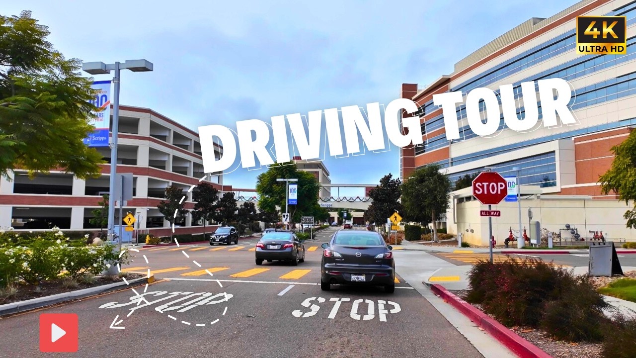 The Ultimate San Diego Road Trip: Sorrento Valley to La Jolla