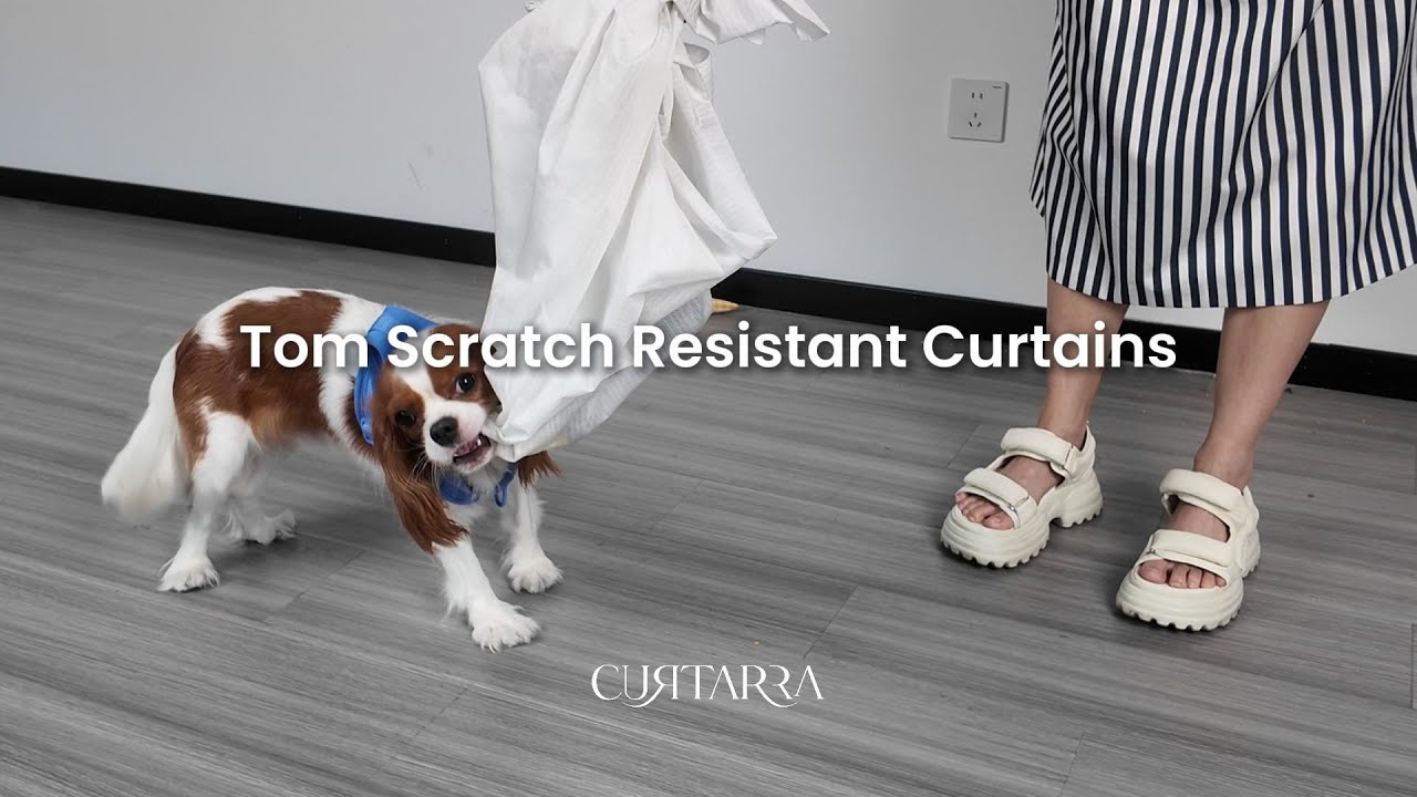 Test | Tom Scratch Resistant Curtains  #home #dog #pets #homedecor #home
