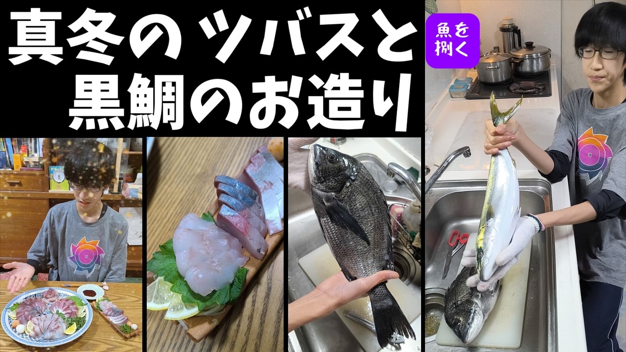 真冬のツバスと黒鯛のお造り、本編