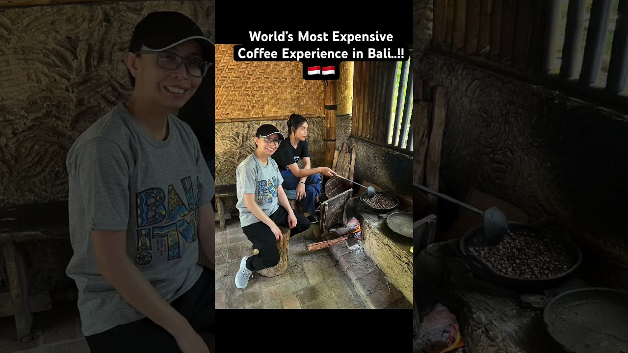 World&rsquo;s Most Expensive Coffee Experience in Bali!  #BaliCoffee #luwakcoffee  #CoffeeExperience