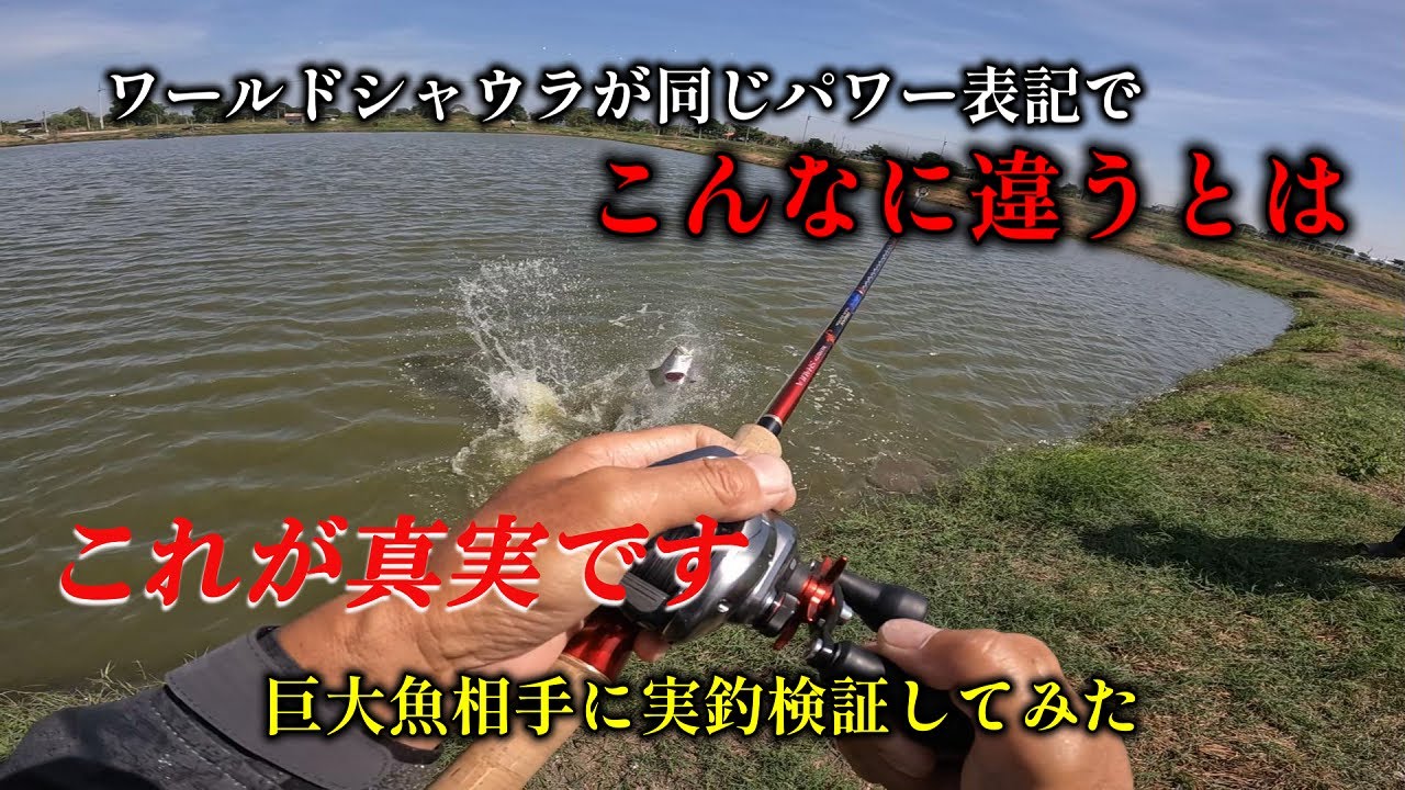 【ワールドシャウラ】シマノ、が同じパワー表記でこんなに性能が違うとは、実釣検証してみました