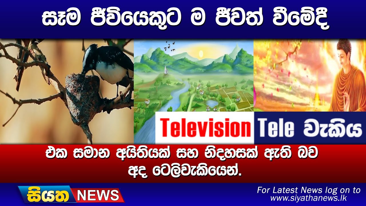 සෑම ජීවියෙකුට ම ජීවත් වීමේදී එක සමාන අයිතියක් සහ නිදහසක් ඇති බව අද ටෙලිවැකියෙන්.
