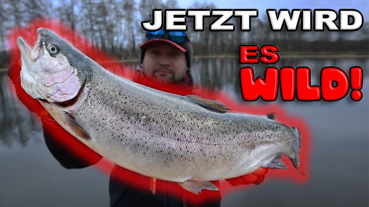 Wir wollen es WILD | Forellenangeln in den Niederlanden