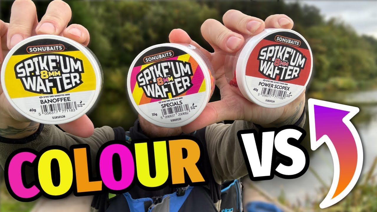 Sonubaits Spike'um Wafter Colour VS !! Какой цвет позволит поймать БОЛЬШЕ рыбы??