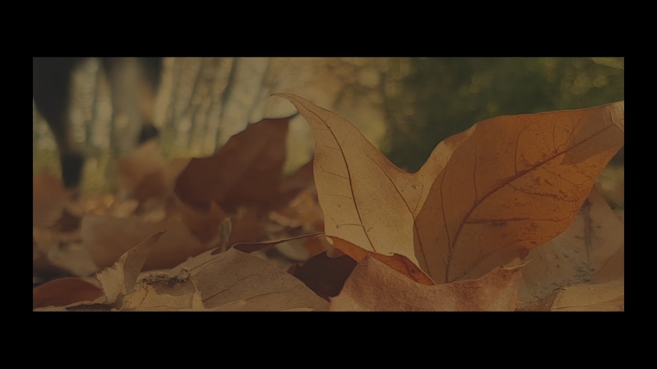 ÉPHONA - I was born to fly (videoclip)
