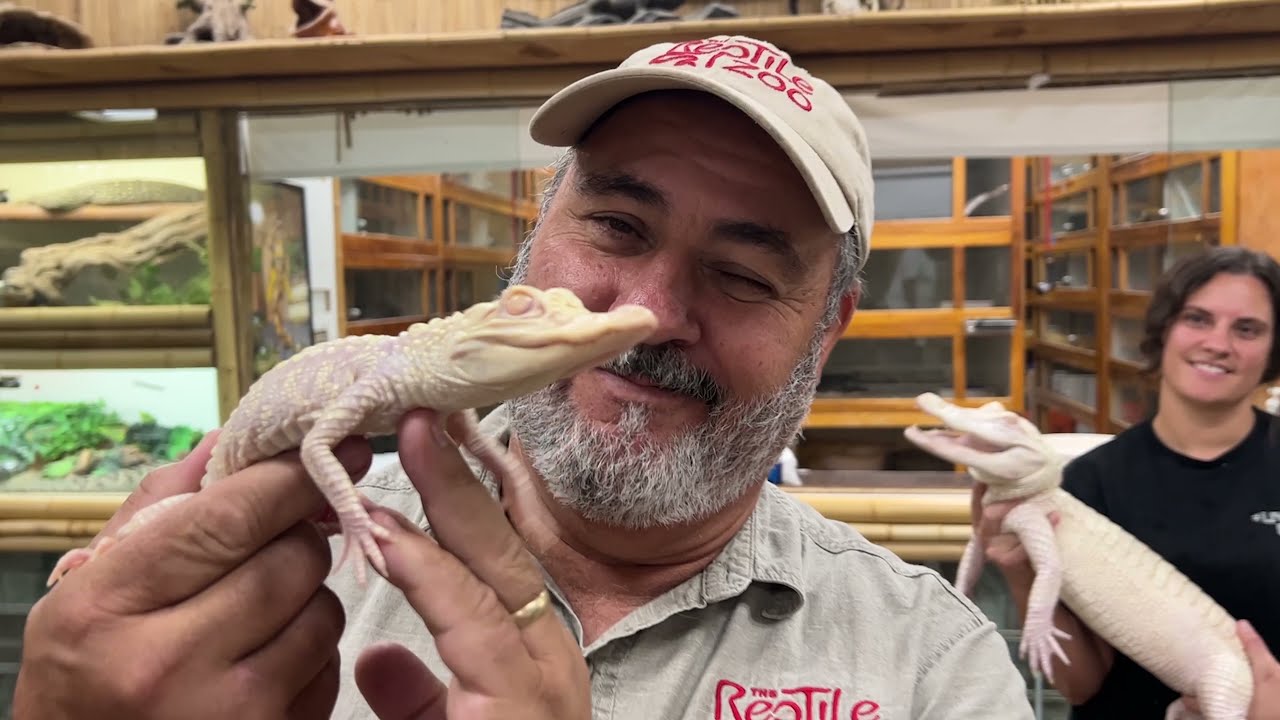 Unboxing Albino Alligator 😱